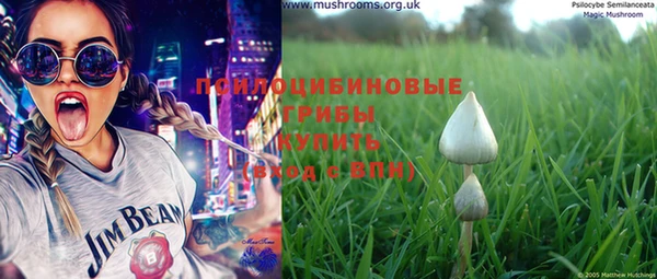 шишки Михайловка