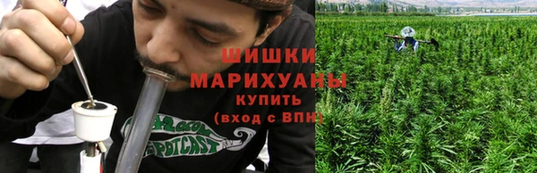 СК Михайлов
