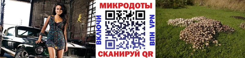 Купить где Фатеж Галлюциногенные грибы MAGIC MUSHROOMS